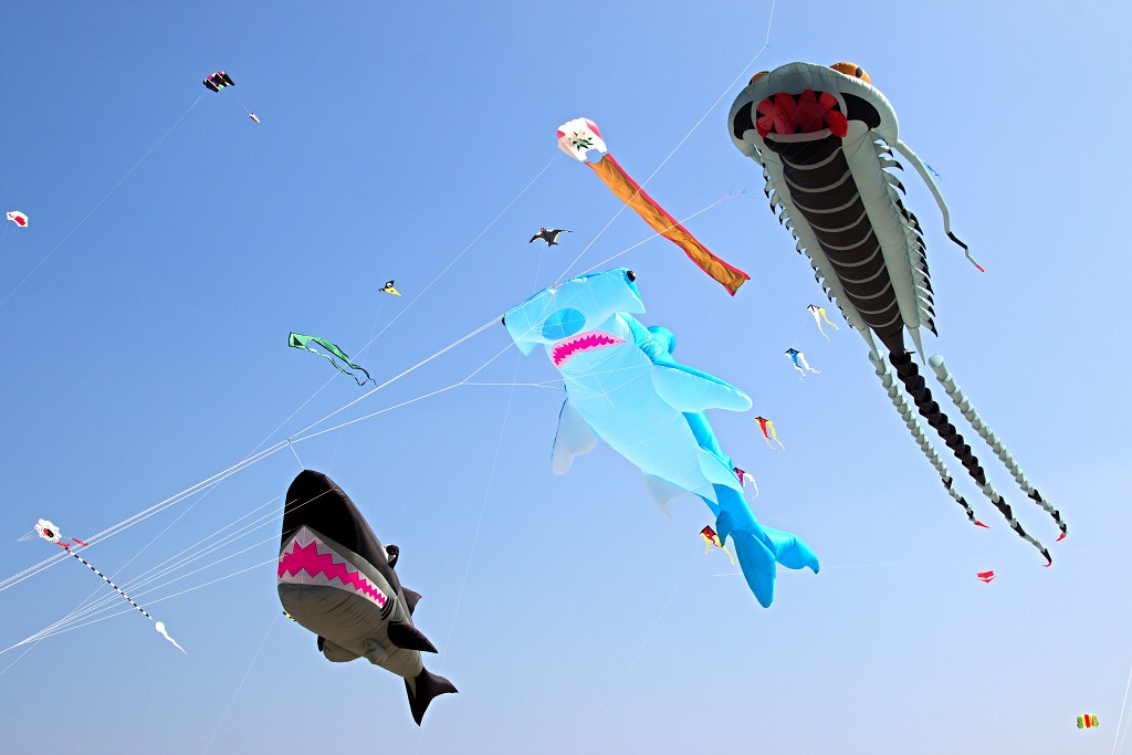 Cerfs-Volants vliegerfestival festival festiviteit evenement event berck sur mer vlieger speelgoed strand